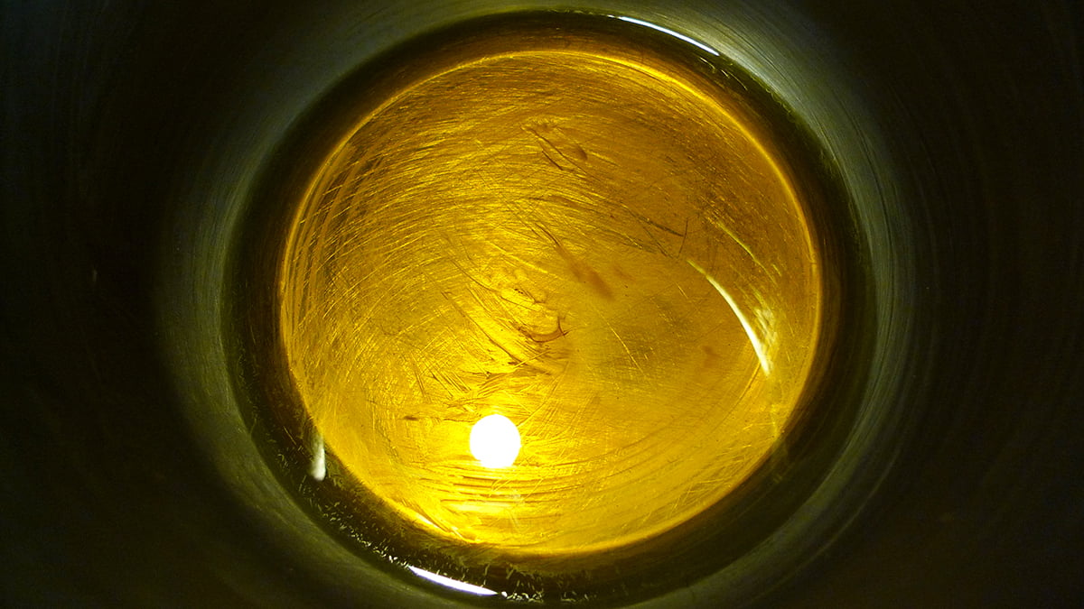 Oleolito giallo fatto con la radice di Rumex obtusifolius